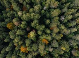 Placàt Eco Camping nel bosco，位于波斯科的露营地