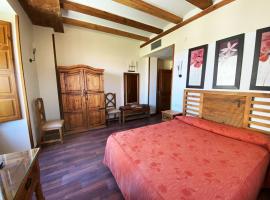 HOTEL EL RASTRO - Palacio Duque de Tamames -，位于阿维拉的酒店