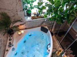 Royale Lumineux Jacuzzi Parking privé，位于米卢斯的酒店