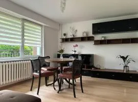 Mieszkanie apartament Bieszczady Lesko