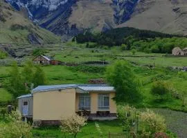 Mountain KAZBEGI Apartment