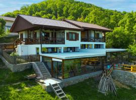 Conacul Fruntea cu ceru，位于Iloviţa的酒店