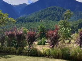 zoz star main pahalgam，位于Anantnāg的酒店