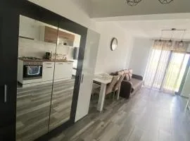 Apartament Steaua de mare nord 2