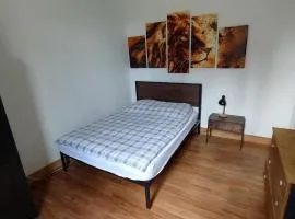 Chambre jungle en colocation