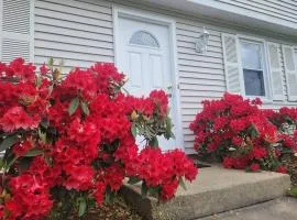 Spacious 5BR Beach House Vacation-walk to Scarborough!