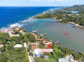 Pelican Penthouse -Mangrove Dock home，位于罗阿坦的乡村别墅