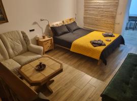 Ultracentral Garage studio，位于比斯特里察的住宿