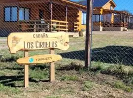 Cabaña los ciruelos