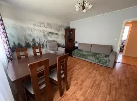 Apartament pod Honem