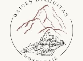 Raíces Diaguitas II，位于Vinchina的酒店