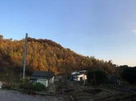 House in the forest