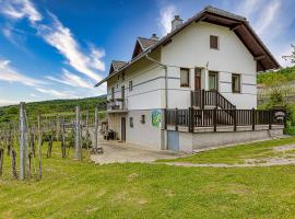 Vineyard Homestead Vrtin - Happy Rentals，位于Dragatuš的乡村别墅