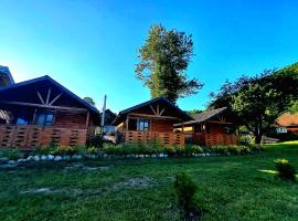 Căsuțele Camping AliMar，位于Tîrsa的露营地