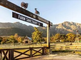 Extraordinary Barn Loft at Animal Sanctuary