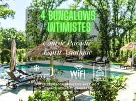 BelVillas Photinia Piscine Parking Wifi Zen Confort - Capital Chic Services