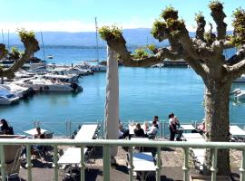 Appartement à 10 mètres de la plage !，位于Nernier的酒店