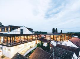 Weindomizil Hagn，位于Mailberg的酒店