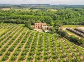 Private country house with pool and barbecue