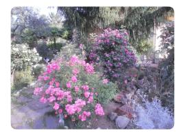 Corelli & Company Rose Musica e Libri，位于Santa Marta的酒店