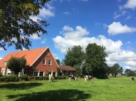 Tolles Ferienhaus für 18 Personen in Ostfriesland mit Kino, Bar, Sauna und Whirlpool