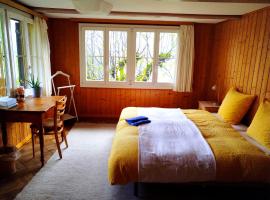 Hostel Sonnenhof Wengen，位于劳特布龙嫩的青旅