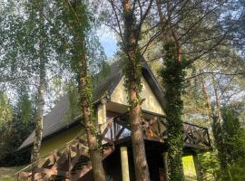 Domek Sosnowe Wzgórze Wiktorowo，位于Gąsawa的酒店