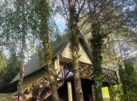 Domek Sosnowe Wzgórze Wiktorowo