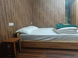 Peace homestay Naggar，位于纳加尔的酒店