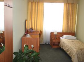Hotel Podkarpacki，位于Boguchwała的酒店
