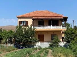 Villa Ntini