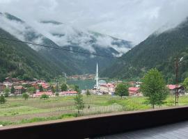 الباتروس اوزنجول Albatros Uzungöl，位于Çaykara的酒店