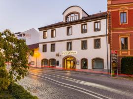 hotel Florian Sedlčany，位于塞德尔恰尼的酒店