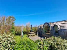 Tiny House De Boet, in Natuurgebied en vlakbij het Strand，位于卡兰茨奥赫的酒店