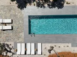 Villa The Pines- Jaccuzi - Private Pool - 7 minutes from the beach