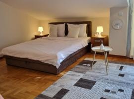 Studio apartman Ema - centar, kruzni tok，位于弗尔尼亚奇卡矿泉镇的酒店