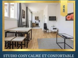 STUDIO COSY - HYPERCENTRE - CALME - 50M2 - Wi-FI，位于Graulhet的低价酒店