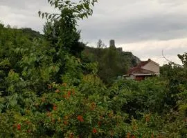 Apartmani Počitelj