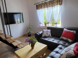 Stylove Apartamenty，位于Kocierz Rychwałdzki的住宿加早餐旅馆