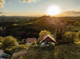 Cozy family place 'Hiša Grozdek' - Gruškovec 40A