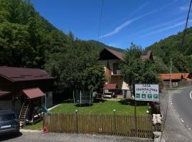 Pensiunea Casa Transalpina，位于舒加格的酒店