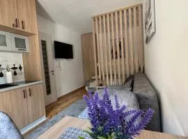 Talija apartman 4