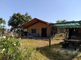 Eco Glamping Portugal Nature Lodge，位于圣路易斯的豪华帐篷营地