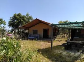 Eco Glamping Portugal Nature Lodge