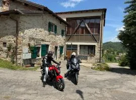 La corte dei celti 5