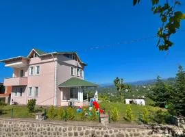 Nature Family House