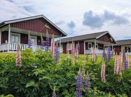 Glad hund，位于Dalskog的别墅