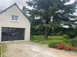 Chambre d'hôte - Verdure en ville