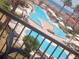 porto south beach عائلات فقط