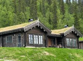 Liaplassen Tømmerhytte